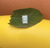 The Mahjong Tile Bamboo 8 Ear Stud